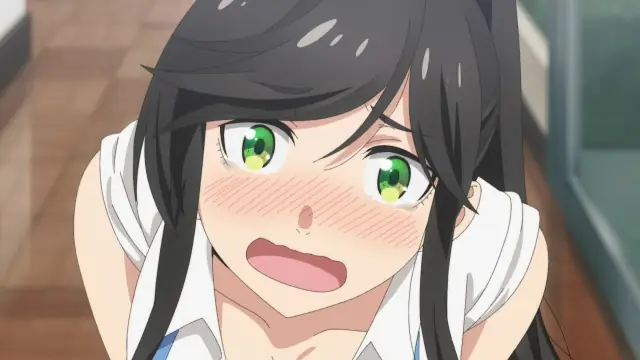 Обзор аниме «Можете ли вы постирать это ради меня?» - обложка (постер)